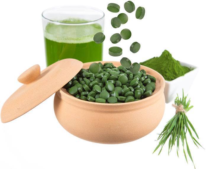 mua tảo xoắn hết bao nhiêu tiền