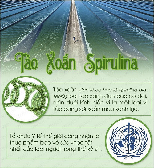 Cách phân biệt Tảo xoắn spirulina Nhật Bản 2200V thật và giả