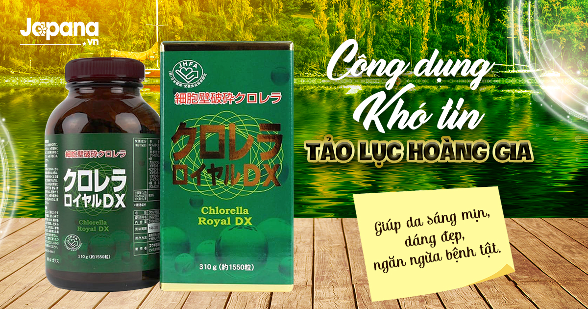 Khám phá công dụng bất ngờ đến khó tin về tảo lục hoàng gia Nhật Bản
