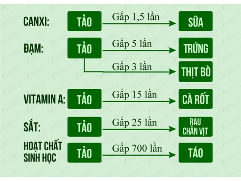 Tảo xoắn Nhật Bản – Những điều cần biết