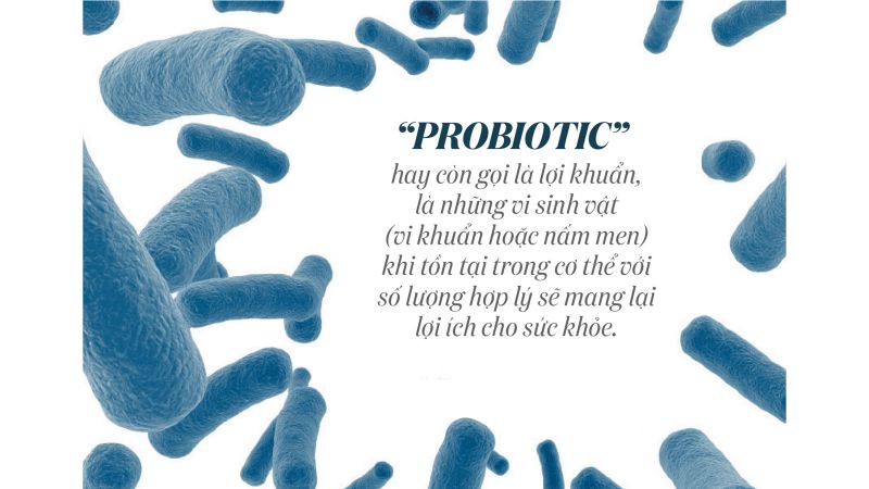 MEN VI SINH NÀO TỐT CHO ĐƯỜNG RUỘT CỦA BẠN?