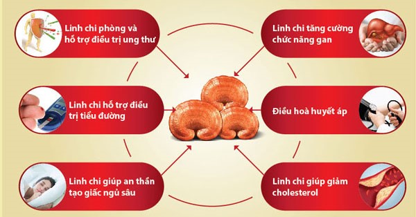 giai-ma-nhung-cau-hoi-thuong-gap-ve-nam-linh-chi-124
