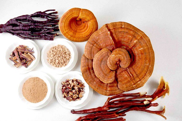 Giải mã những câu hỏi thường gặp về nấm linh chi