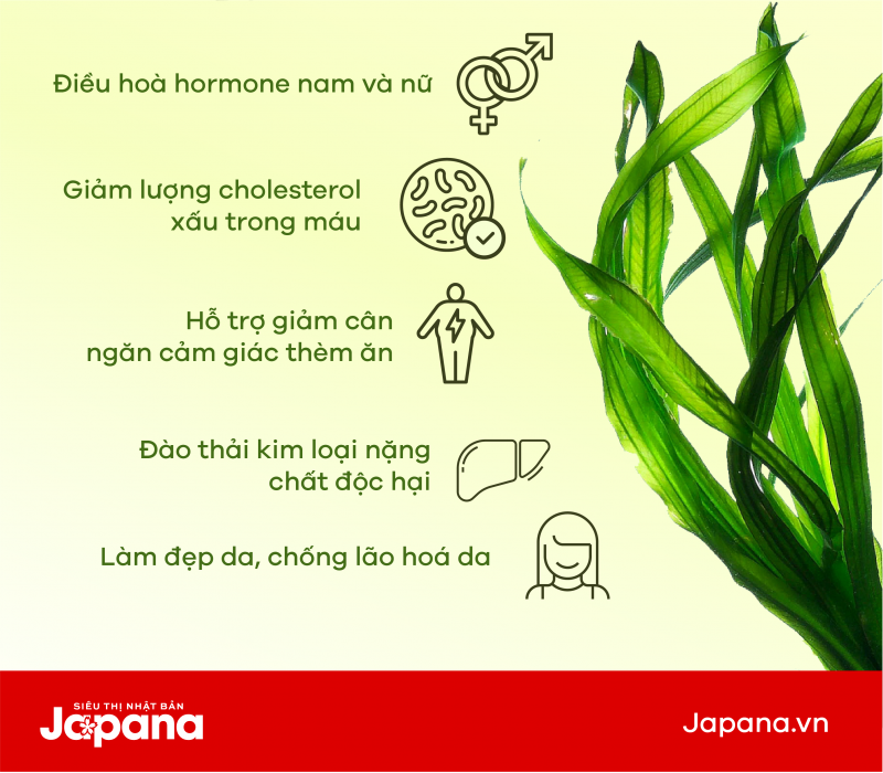 [Infographic] 10 công dụng tuyệt vời của tảo xoắn Spirulina
