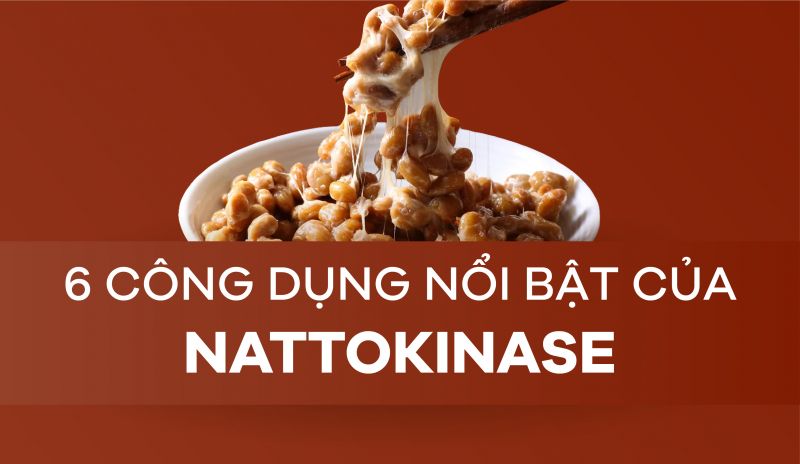 [Infographic] 6 công dụng nổi bật của Nattokinase đối với sức khỏe
