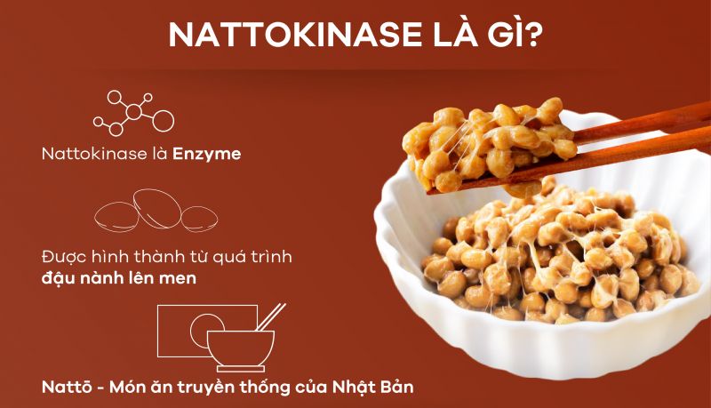 [Infographic] 6 công dụng nổi bật của Nattokinase đối với sức khỏe