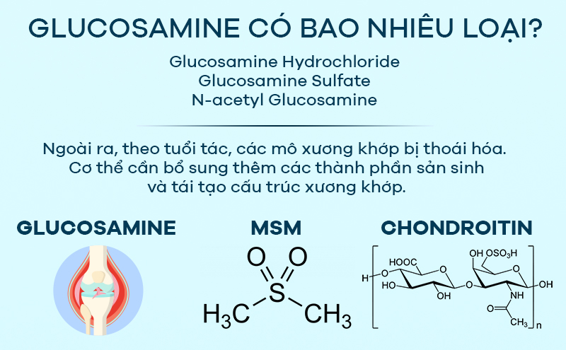 [Infographic] Glucosamine thành phần “vàng” đánh tan đau nhức xương khớp