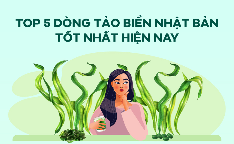 [Infographic] TOP 5 dòng Tảo biển Nhật Bản tốt nhất hiện nay