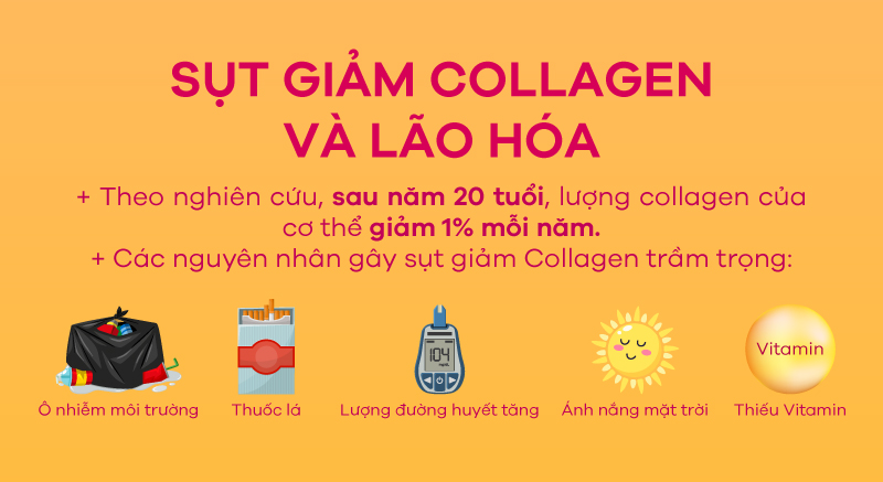 Khám phá 10 công dụng tuyệt vời của Collagen