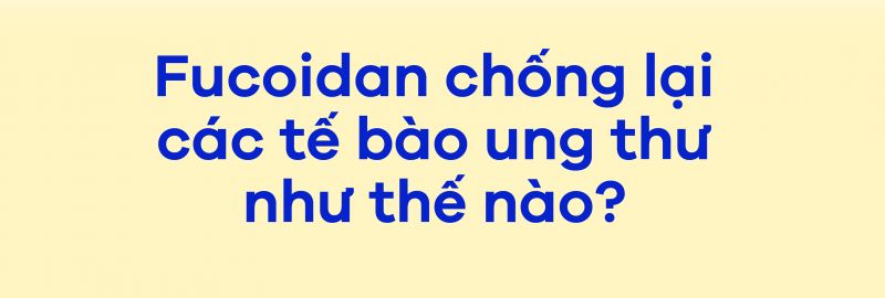 [Infographic] Fucoidan là gì? Thực hư công dụng phòng và điều trị ung thư của Fucoidan