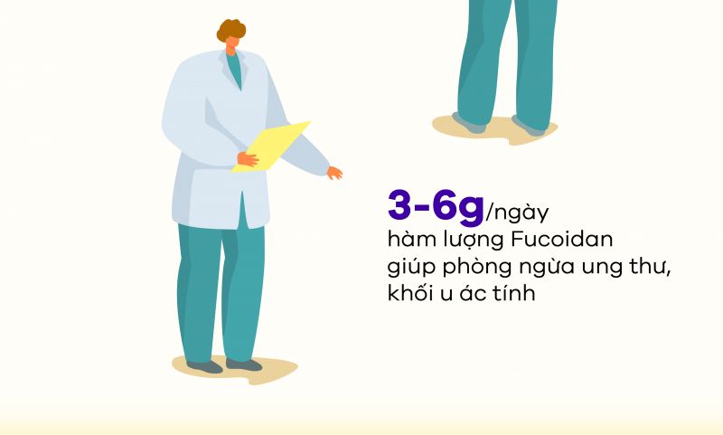 [Infographic] Fucoidan là gì? Thực hư công dụng phòng và điều trị ung thư của Fucoidan
