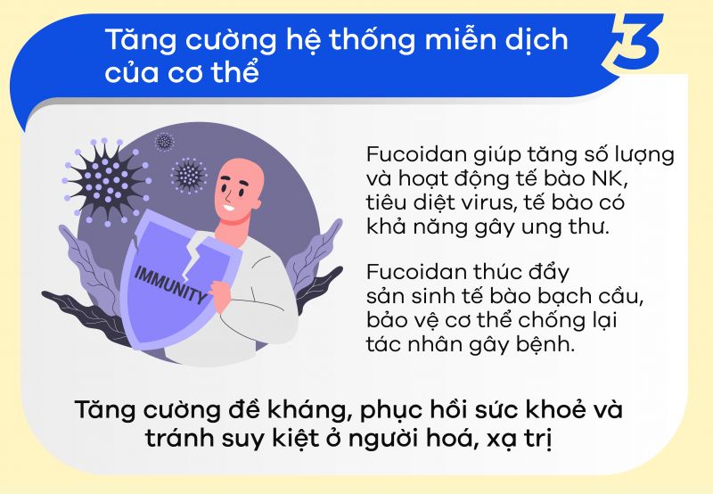 [Infographic] Fucoidan là gì? Thực hư công dụng phòng và điều trị ung thư của Fucoidan