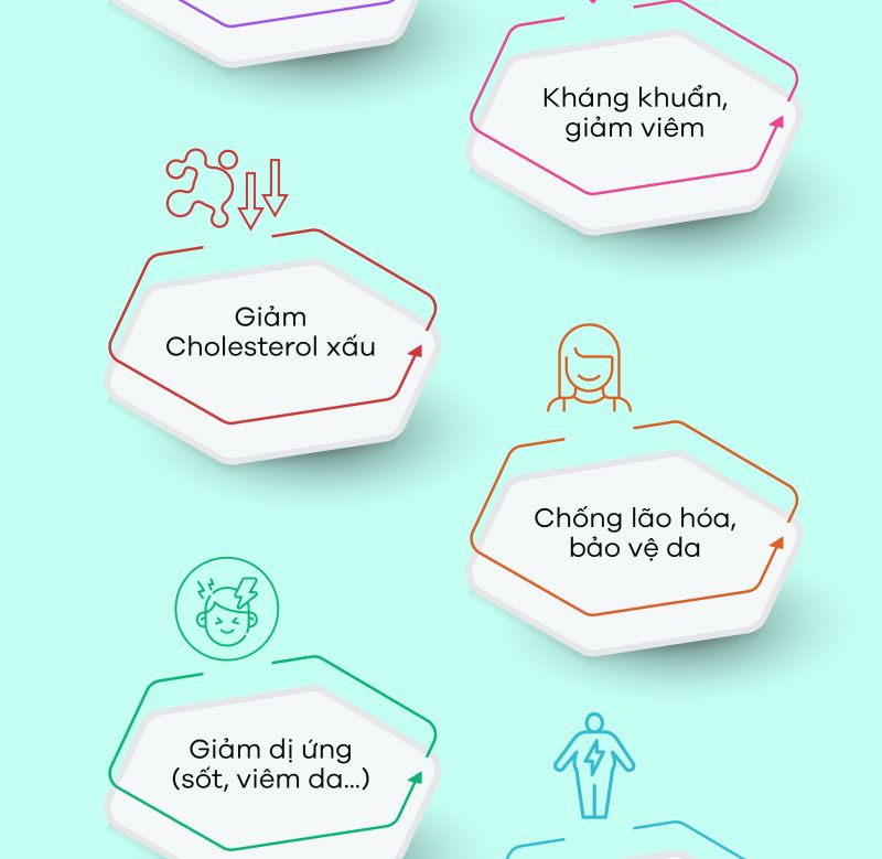 [Infographic] Fucoidan là gì? Thực hư công dụng phòng và điều trị ung thư của Fucoidan