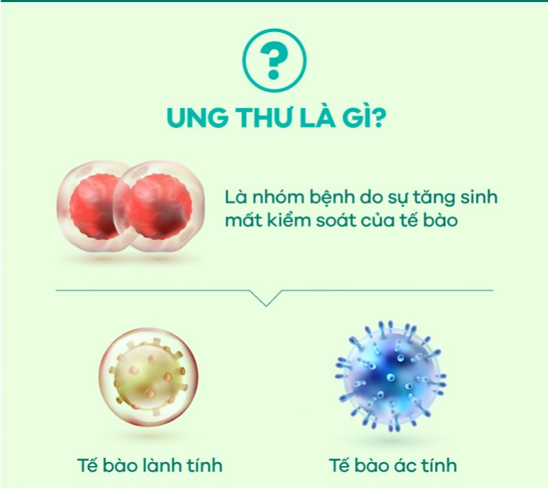 [Infographic] Hiểu biết về Ung thư và cách phòng ngừa hiệu quả