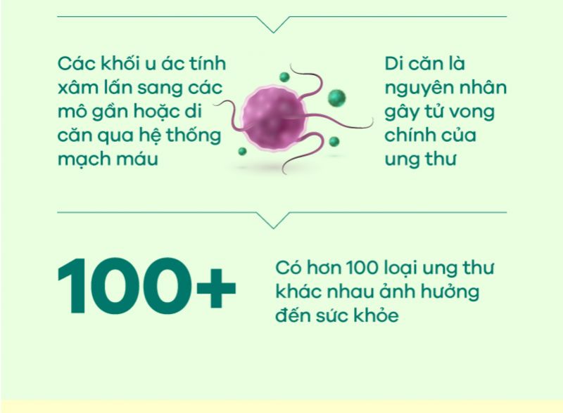 [Infographic] Hiểu biết về Ung thư và cách phòng ngừa hiệu quả