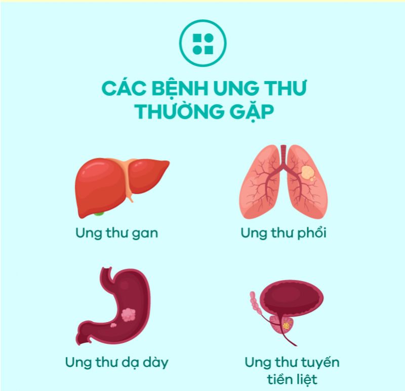 [Infographic] Hiểu biết về Ung thư và cách phòng ngừa hiệu quả