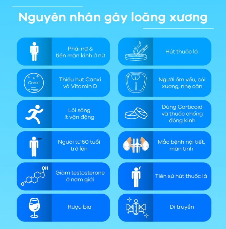 [Infographic] Những điều cần biết về loãng xương