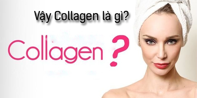 Collagen là một loại protein chiếm 25% tổng lượng protein cơ thể và đến 70% cấu trúc da.