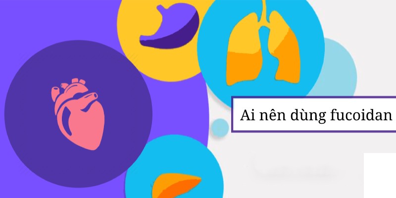 những ai nên sử dụng fucoidan