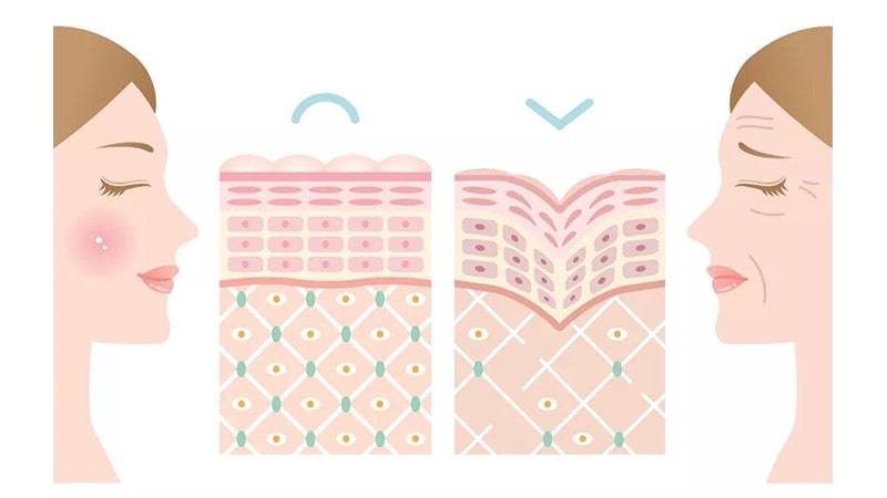 Bổ sung collagen đầy đủ