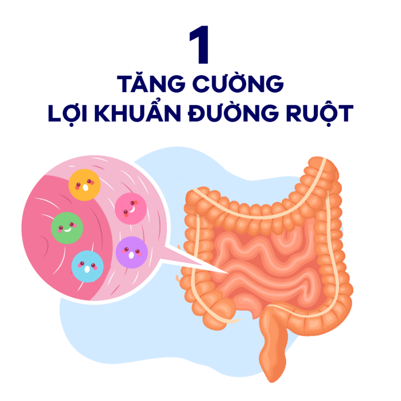 TĂNG CƯỜNG LỢI KHUẨN ĐƯỜNG RUỘT