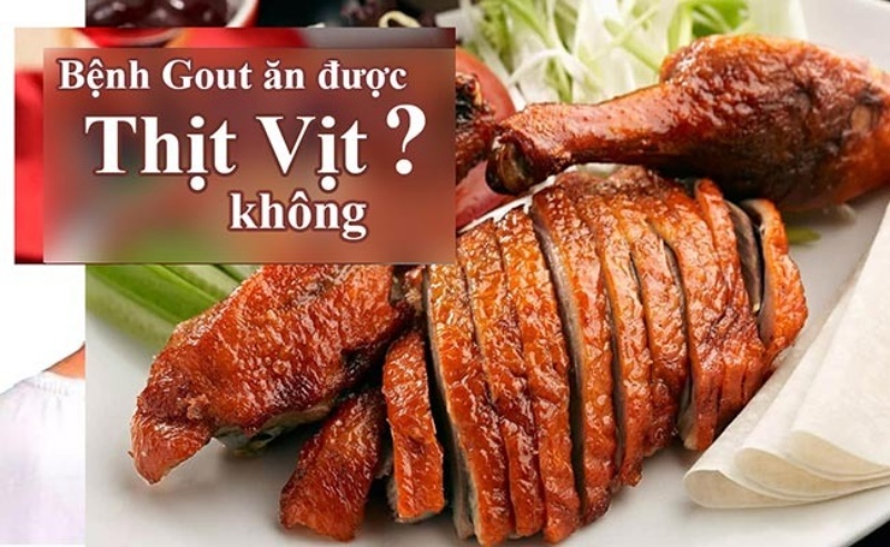 Giải đáp thắc mắc bệnh gút có ăn được thịt vịt không?