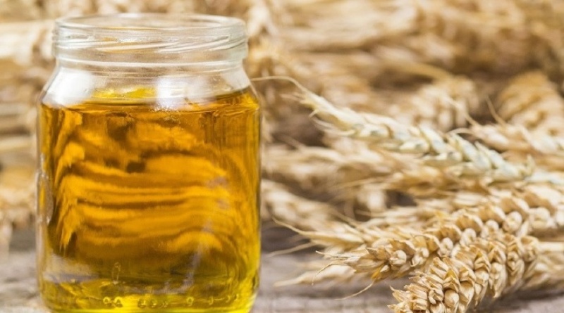 Dầu mầm lúa mì