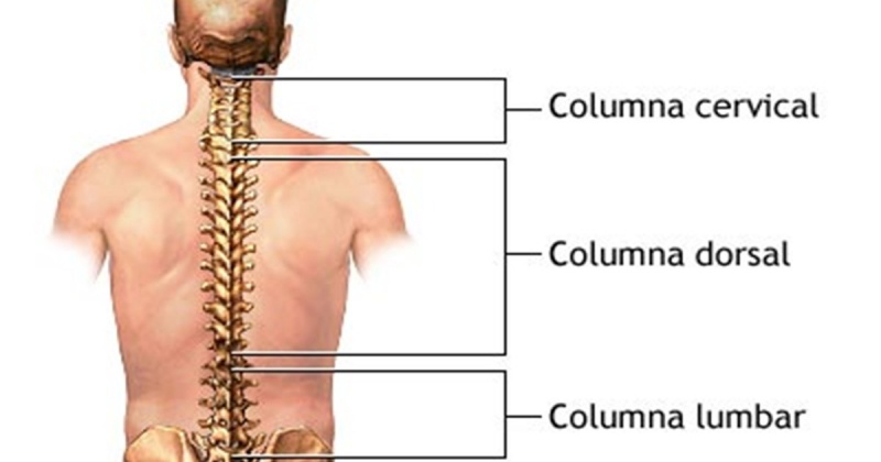 Tìm hiểu cấu tạo cột sống và chức năng