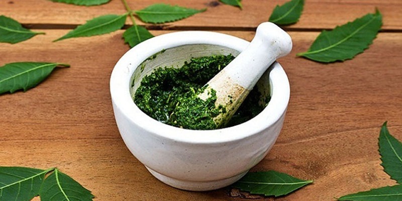 Lá lốt chườm nóng