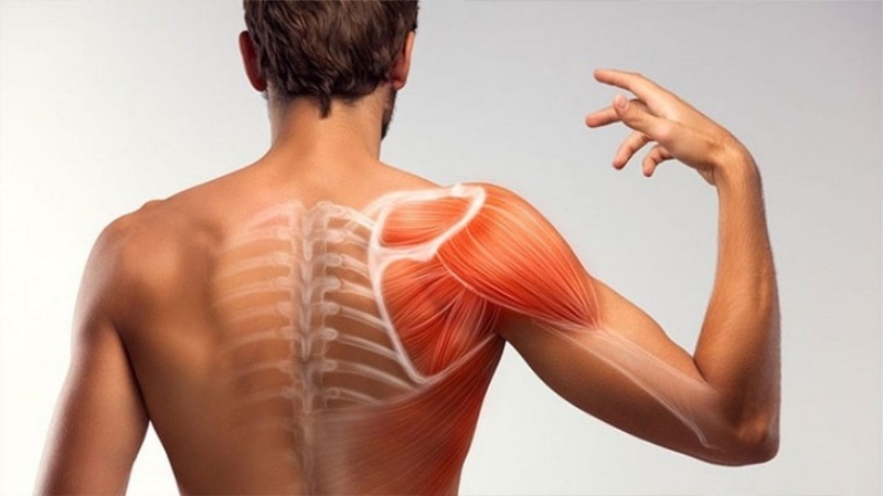 Có phương pháp điều trị và phòng ngừa viêm khớp vai đúng cách