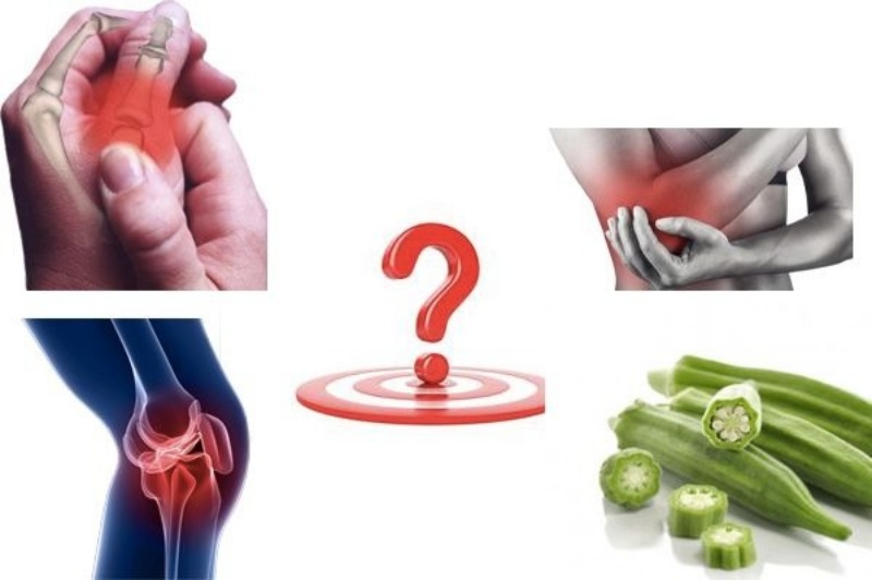 Đậu bắp không có tác dụng chuyên biệt với bệnh xương khớp