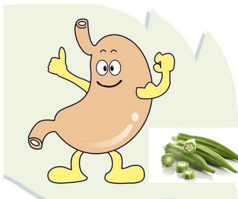 Tác dụng của đậu bắp với sức khỏe