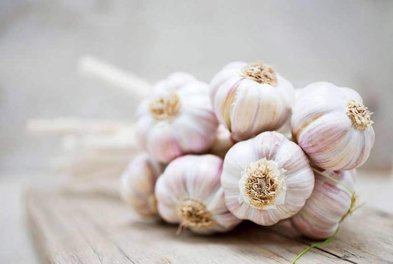 Giảm viêm và phương pháp chữa trị những vết sẹo