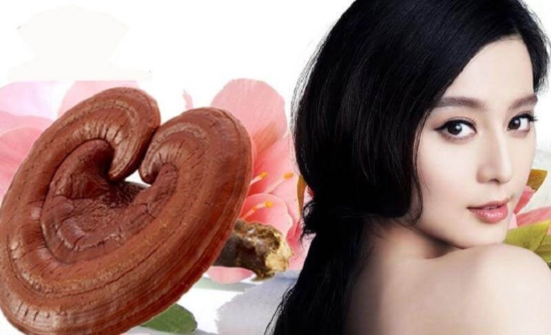 Nấm linh chi không chỉ tốt cho sức khoẻ mà còn có tác dụng tuyệt vời trong dưỡng da
