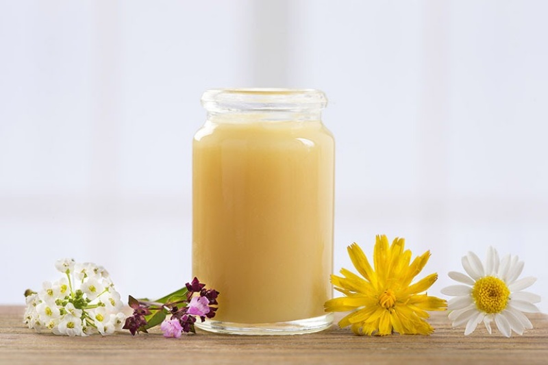 Tác dụng của sữa ong chúa
