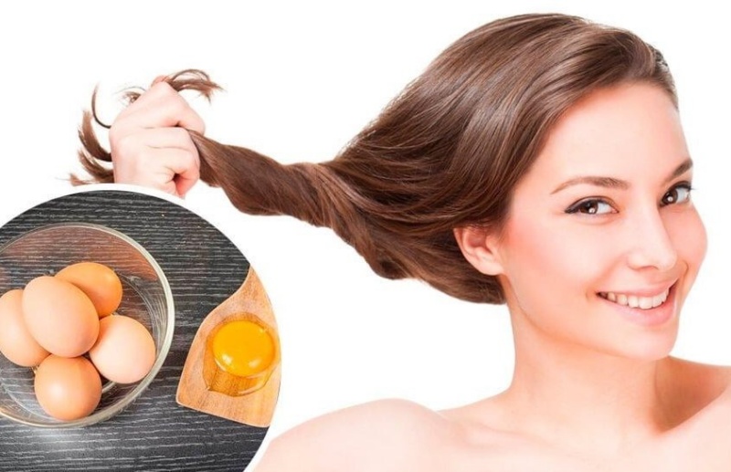 Trứng gà và dầu oliu giúp tóc chắc khoẻ đồng thời kích thích mọc tóc nhanh hơn