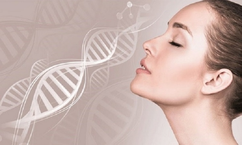 Nhưng sức mạnh của Collagen có mãi mãi?