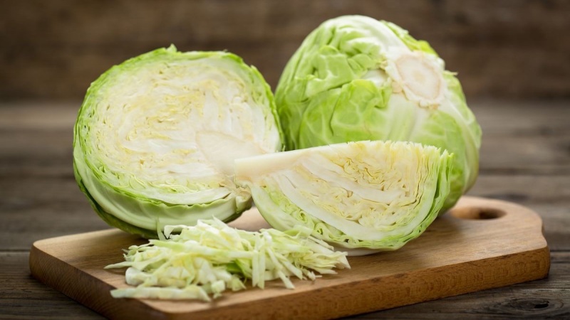 bắp cải