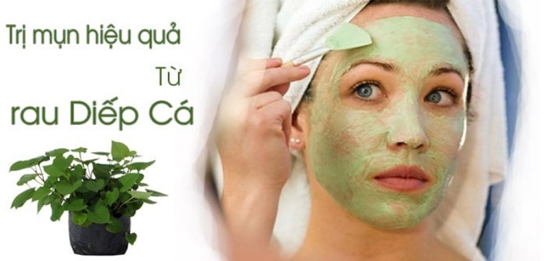 Trị mụn viêm tại nhà siêu hiệu quả với rau diếp cá