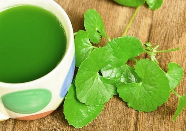 Cách trị sẹo thâm bằng rau má