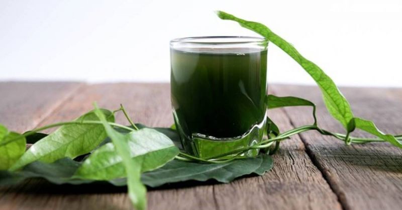 Cần phân biệt diệp lục collagen thật giả để không gây hại cho sức khỏe khi sử dụng