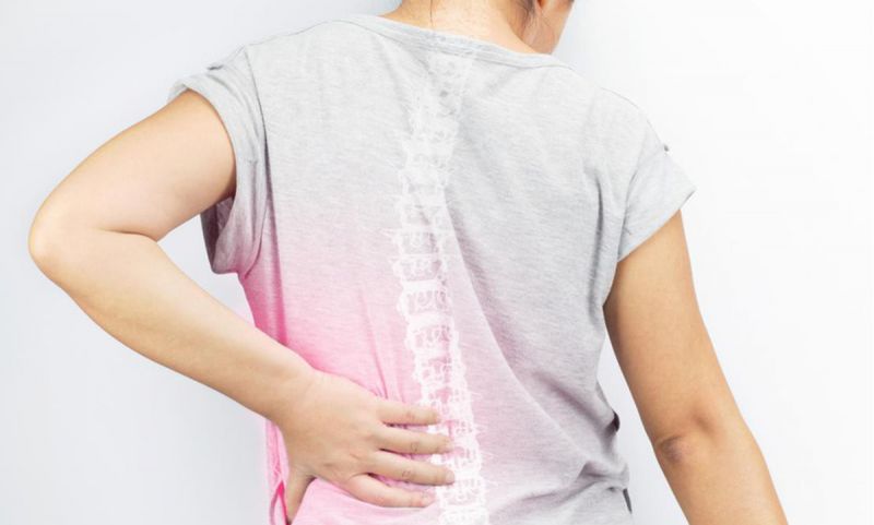 Bổ sung sâm tố nữ giúp ngừa loãng xương