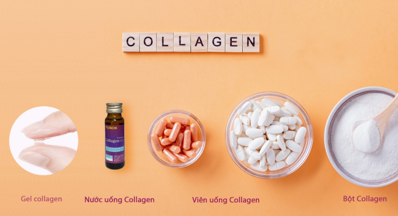 Các dạng Collgen thường gặp