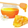 Sữa Ong Chúa - Chống Lão Hóa