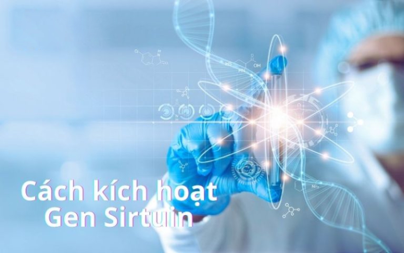 NMN là gì? Cách sử dụng NMN hiệu quả