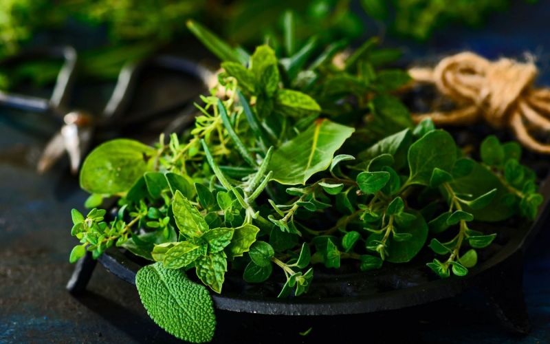 Bị tàn nhang nên ăn rau sống bổ sung nhiều chất xơ và vitamin