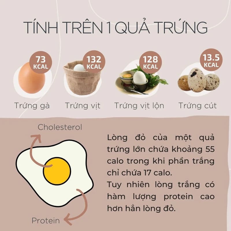 ăn trứng có cao không