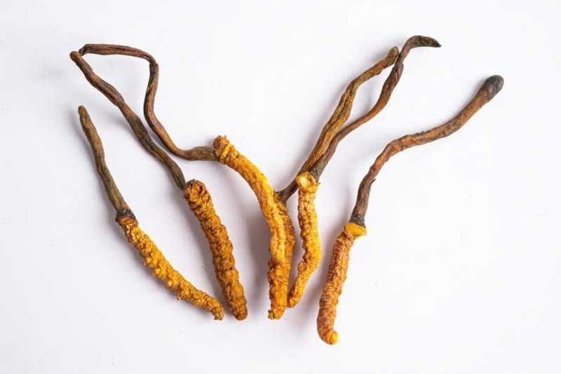 thời điểm 3 tháng đầu của mẹ bầu 