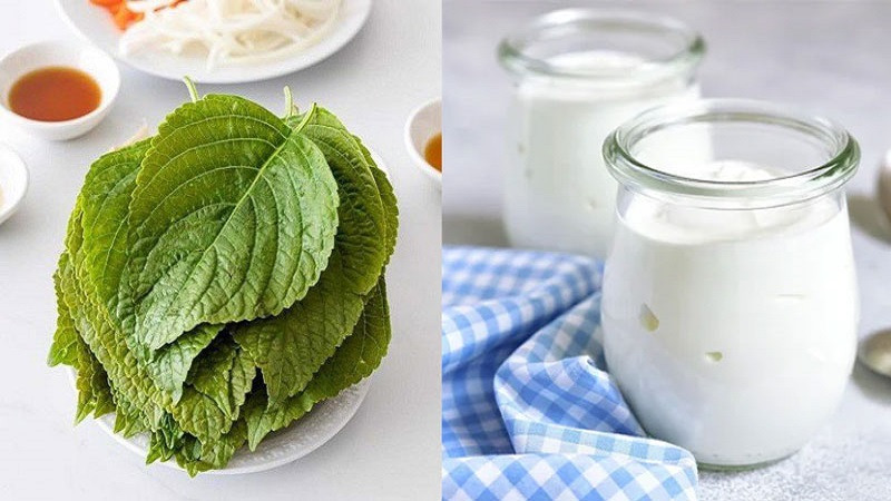 cách trị nám tàn nhang bằng lá tía tô với sữa chua 