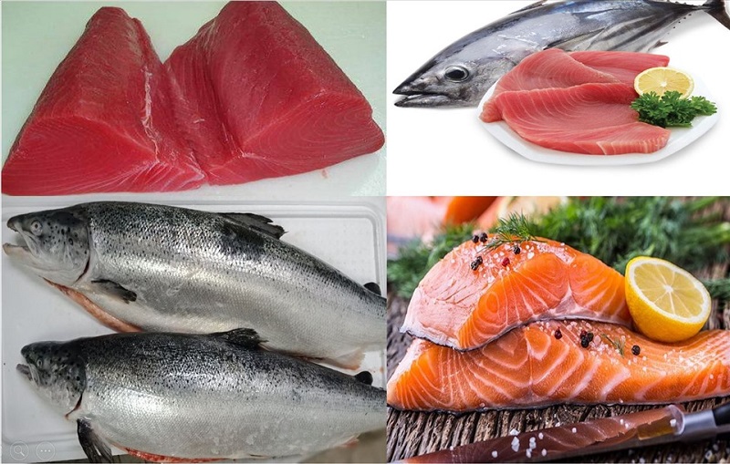cá béo tốt cho sức khỏe tim mạch